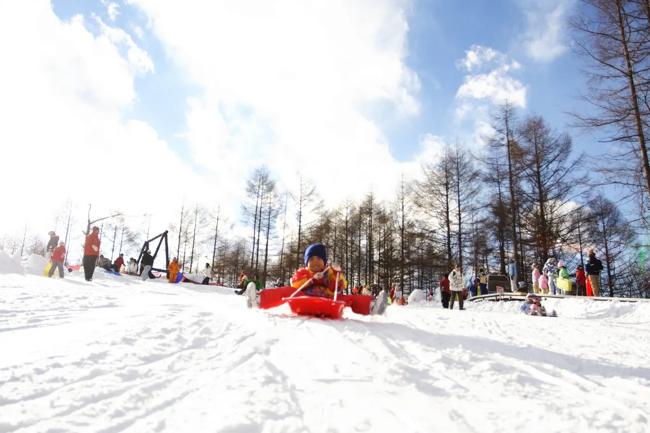 Enjoy high-quality powder snow! There is still time to go shopping before returning!